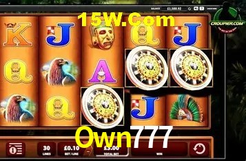 Own777 Salvador - Support